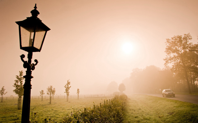 Car road lamppost field trees free wallpaper - medium preview image