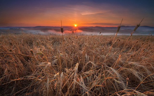 Sunset foggy field mountains grass free wallpaper - medium preview image
