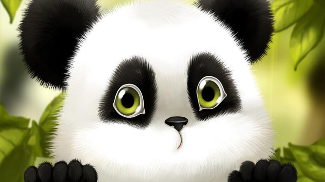 Panda green eyes leaves blurry free wallpaper - medium preview image