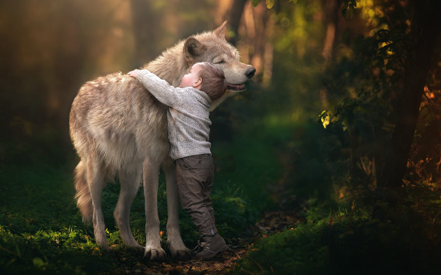 Boy hugging wolf forest sunlight free wallpaper - medium preview image