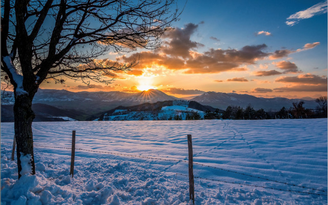 Snowy fence tree sunset mountains free wallpaper - medium preview image