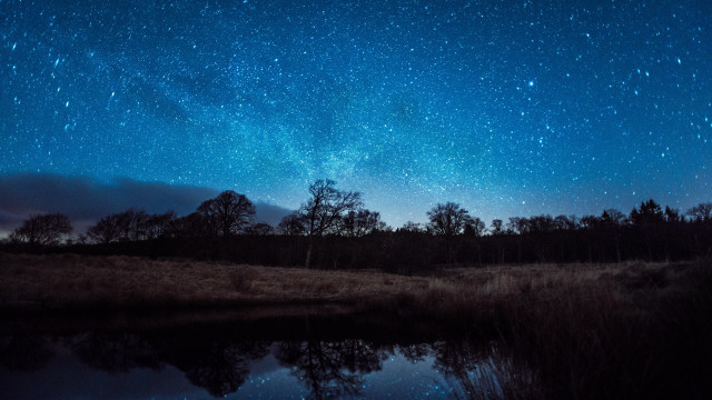 Night sky stars lake trees free wallpaper - medium preview image