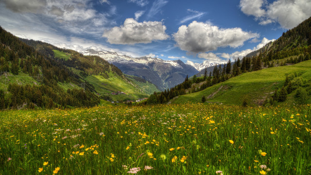 Flower field mountains clouds blue #3 free wallpaper - medium preview image