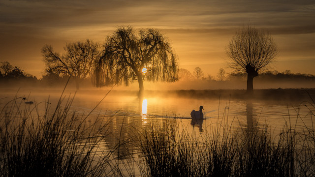 Lake sunset boat tree fog free wallpaper - medium preview image