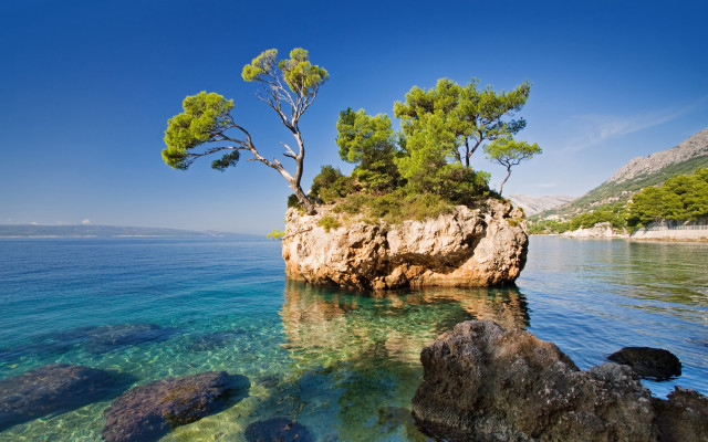 Small island tree ocean ecological free wallpaper - medium preview image