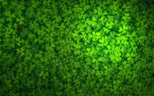 Green leaves ecological 3d render free wallpaper - medium preview image