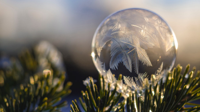 Crystal ball pine branch frosting free wallpaper - medium preview image