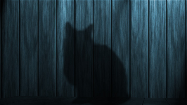 Cat standing dark wooden floor free wallpaper - medium preview image