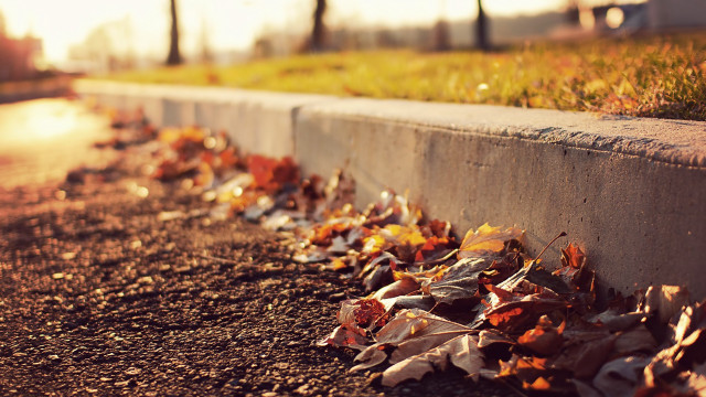 Autumn leaves street light blurry free wallpaper - medium preview image