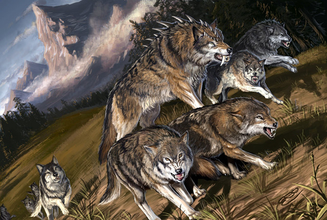 Wolves running field mountains clouds free wallpaper - medium preview image