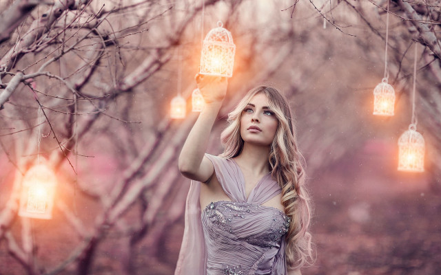 Enchanted winter tree lantern birdcage free wallpaper - medium preview image