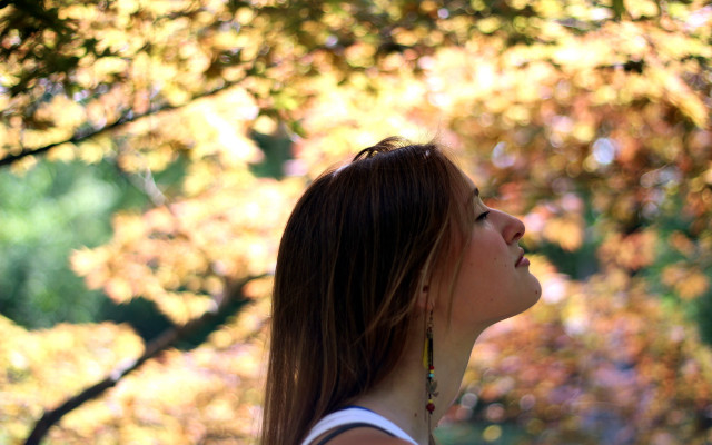 Woman tree frisbee autumn blurry free wallpaper - medium preview image