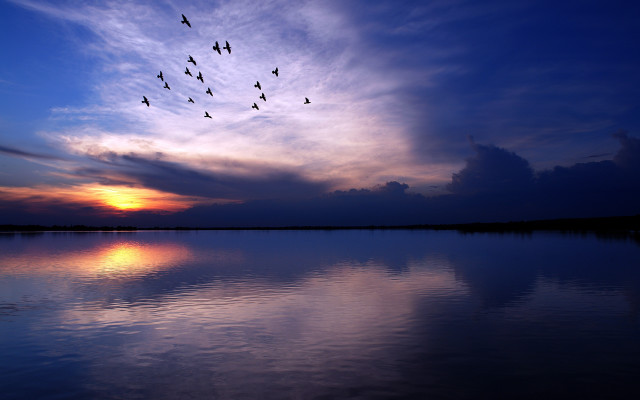 Birds lake sunset matte photography free wallpaper - medium preview image