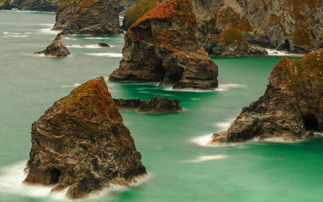 Rock cliff bird water impressionist free wallpaper - medium preview image