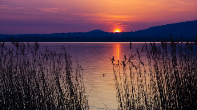 Sunset lake tallgrass mountain bird free wallpaper - medium preview image