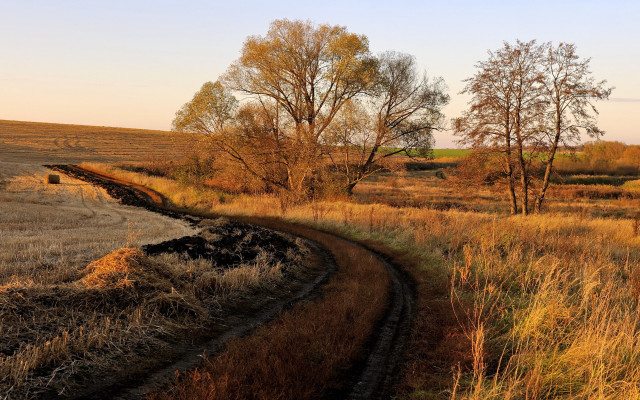 Dirt road autumn leaves mountains free wallpaper - medium preview image
