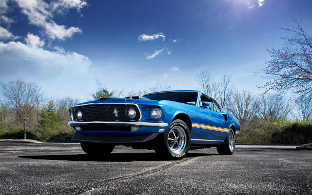 Blue mustang parking lot tree free wallpaper - medium preview image