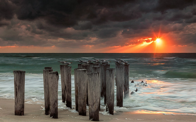 Wooden posts beach cloudy sunset free wallpaper - medium preview image