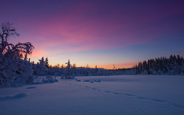 Sunset trail snow trees city free wallpaper - medium preview image