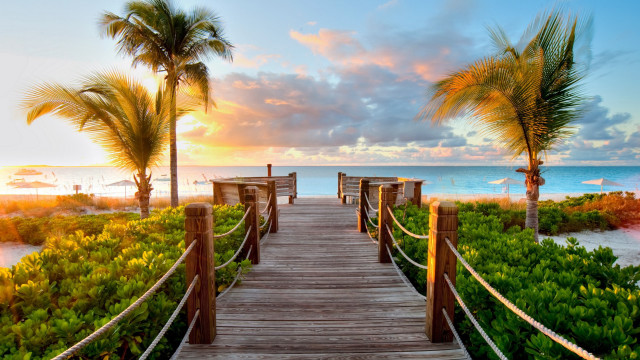 Wooden walkway beach palm trees #5 free wallpaper - medium preview image