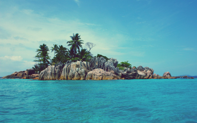 Small island palm trees ocean #11 free wallpaper - medium preview image