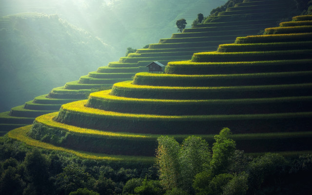House hill stairs trees nature free wallpaper - medium preview image