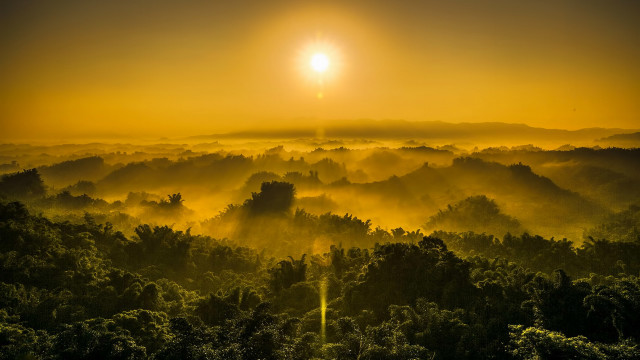 Sunset forest fog light mountain free wallpaper - medium preview image