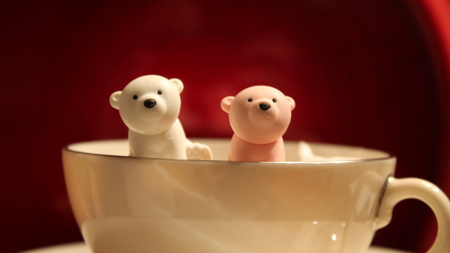 White bears coffee saucer florianne free wallpaper - medium preview image