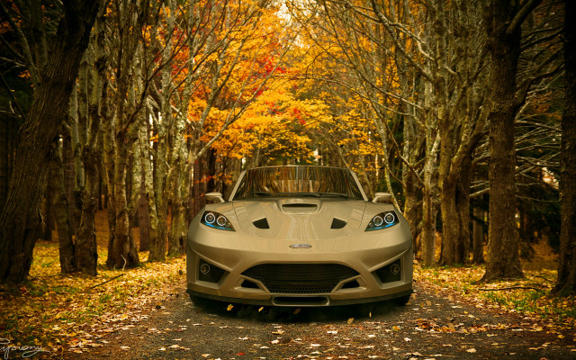 Cobra autumn tiltshift forest leaves free wallpaper - medium preview image