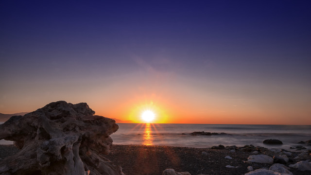 Sunset beach tree stump ocean free wallpaper - medium preview image
