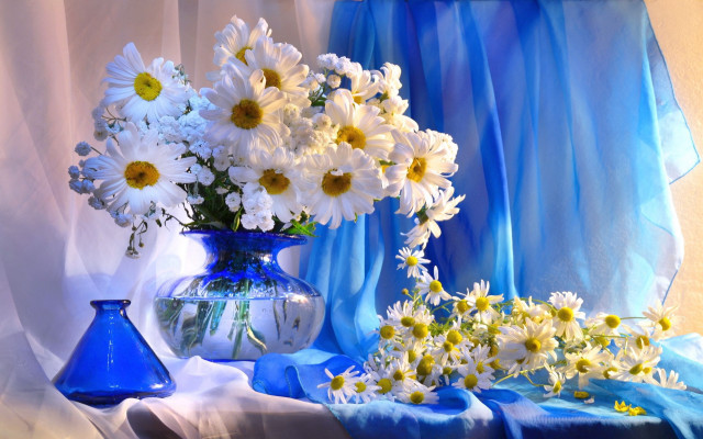 Blue vase white daisies on free wallpaper - medium preview image