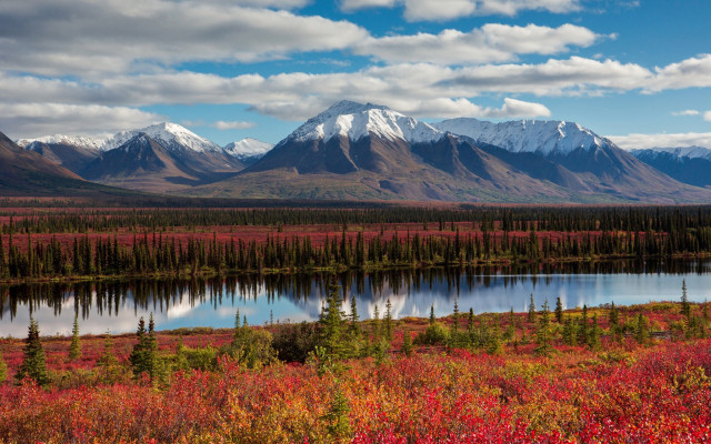 Lake mountains trees autumn bridge free wallpaper - medium preview image