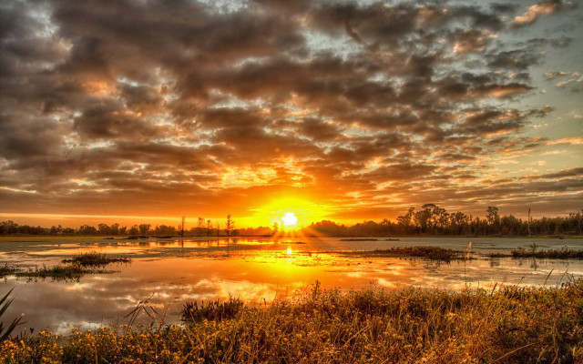 Sunset lake clouds trees bushes free wallpaper - medium preview image