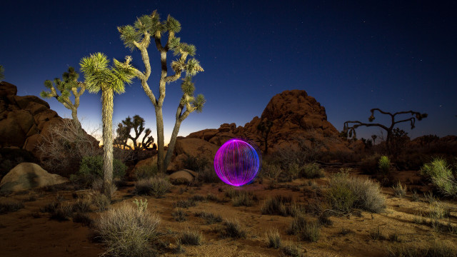 Night desert purple object joshua free wallpaper - medium preview image