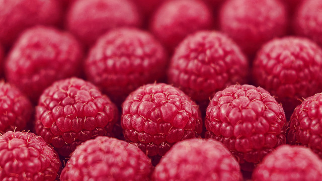 Raspberries closeup blurry background tiltshift free wallpaper - medium preview image