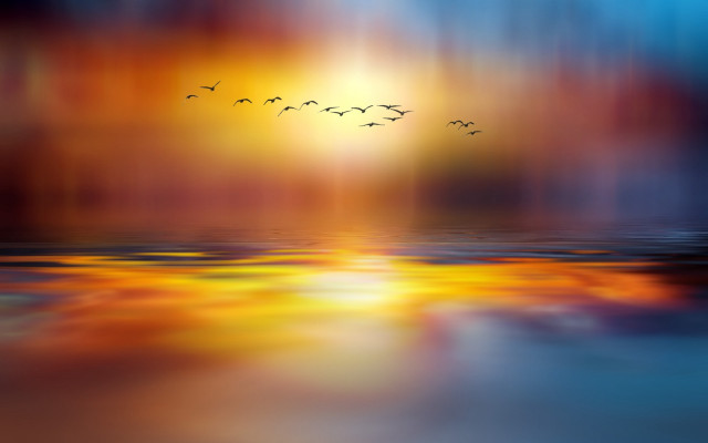 Sunset birds water city mystical free wallpaper - medium preview image