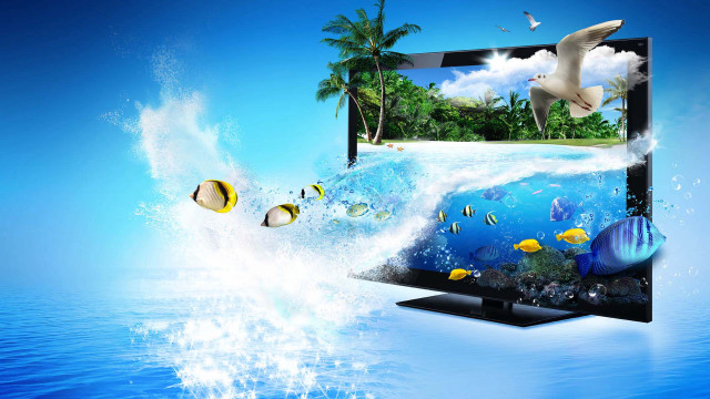 Tropical island ocean bird fish free wallpaper - medium preview image