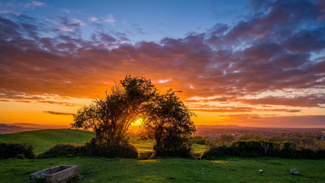 Tree sunset clouds horizon landscape free wallpaper - medium preview image