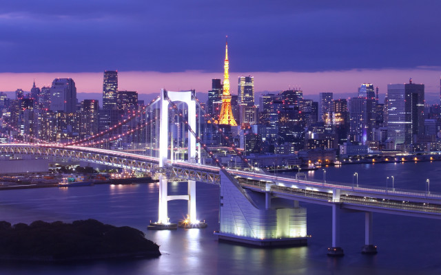City skyline bridge tower night free wallpaper - medium preview image