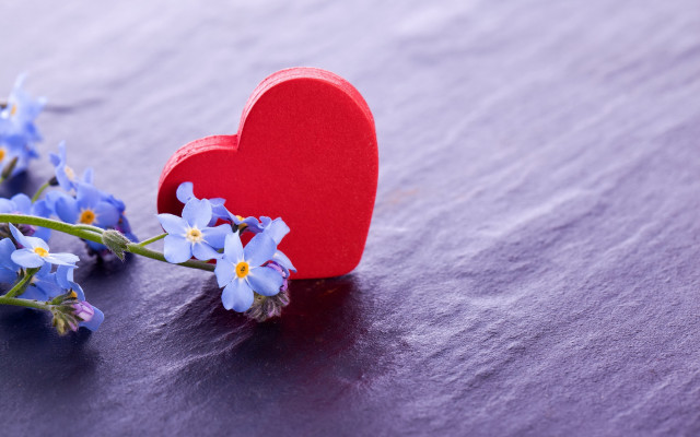 Red heart box blue flowers free wallpaper - medium preview image