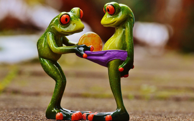 Frogs playing with ball tennis free wallpaper - medium preview image