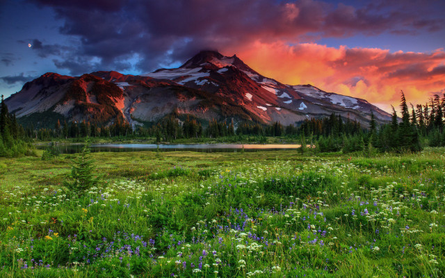 Mountain lake wildflowers sunset pink free wallpaper - medium preview image