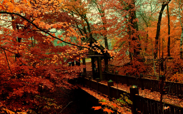 Autumn leaves park bench fence free wallpaper - medium preview image