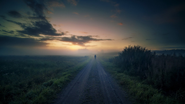Dusk liminal road forest mountain free wallpaper - medium preview image