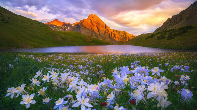 Flower field mountain lake sunset free wallpaper - medium preview image