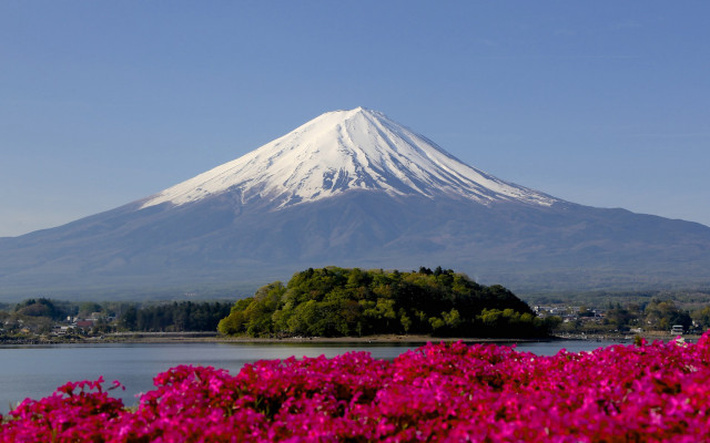Mountain lake flower field ecological free wallpaper - medium preview image