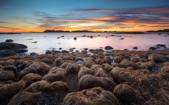 Beach rocks grass sunset clouds free wallpaper - medium preview image