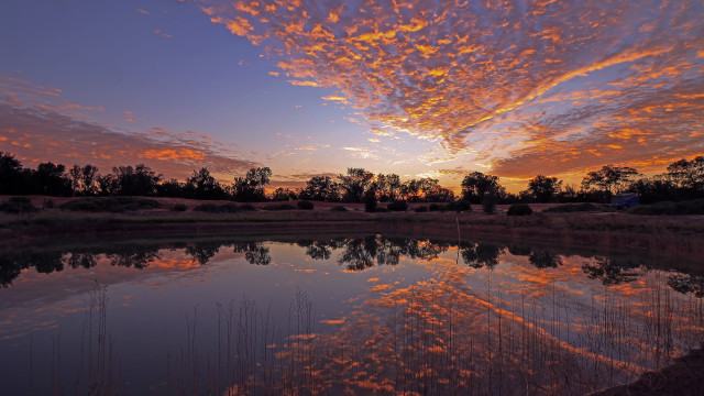 Sunset lake clouds trees auralist free wallpaper - medium preview image