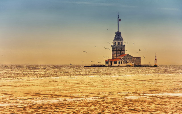 Lighthouse island ocean birds sunset free wallpaper - medium preview image