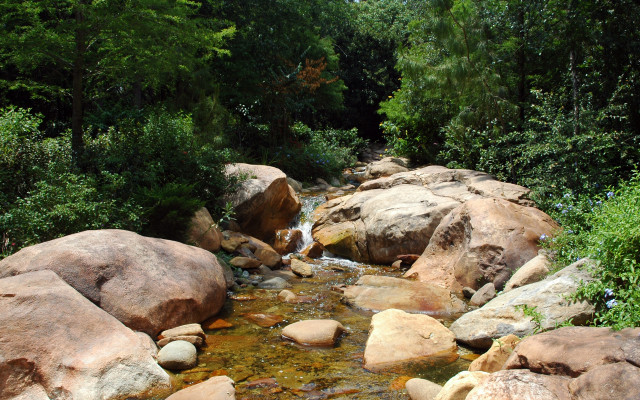 Forest stream rocks trees night free wallpaper - medium preview image